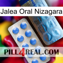 Nizagara Oral Jelly 40